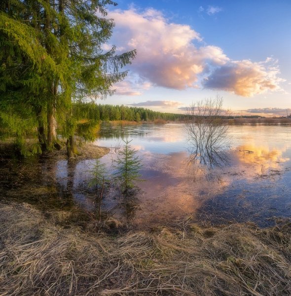 Весенние воды