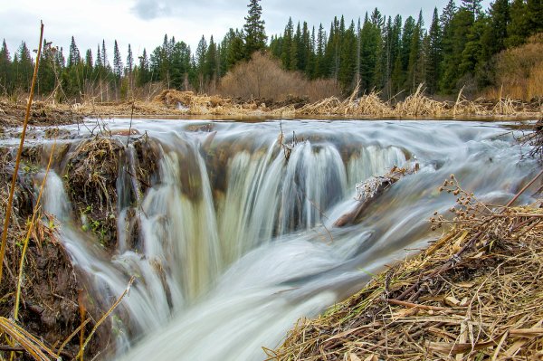 Весна река бурная