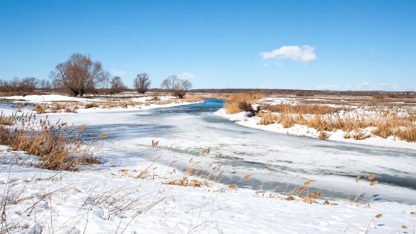 Разлив реки Усманка 2018
