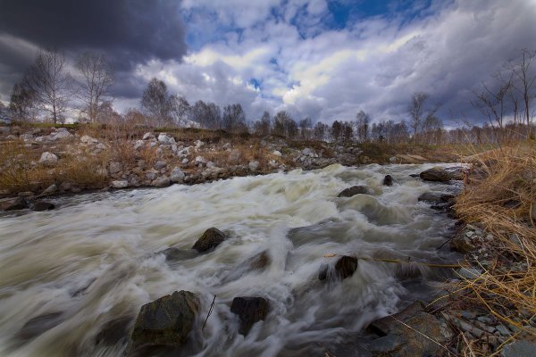 Весенние воды Тютчев