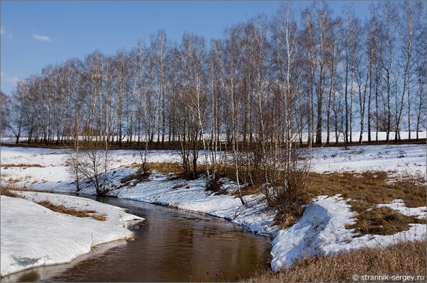 Весенние воды Тютчев