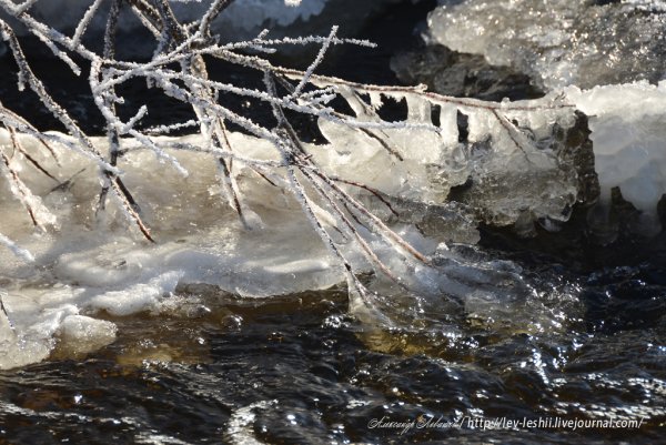 Ледяная река