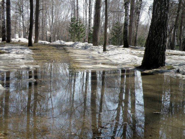 Весна разлив воды