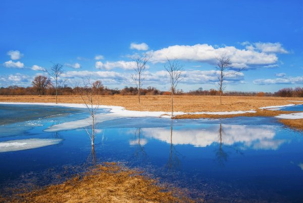 Картина Рахманинова весенние воды