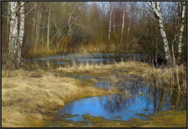 Весенний лес