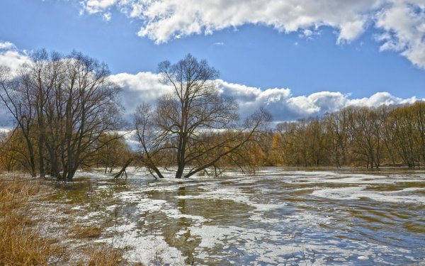 Весенний шум