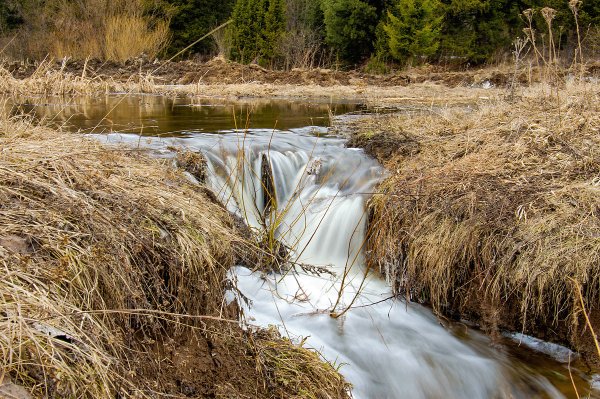 Тульская область весной