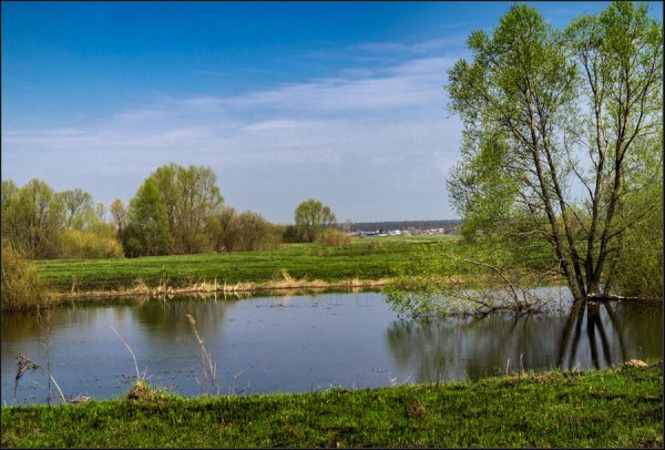 Тютчев ручьи