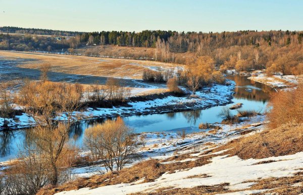 Цветущее дерево над рекой