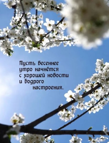 С добрым Мартовскии утро