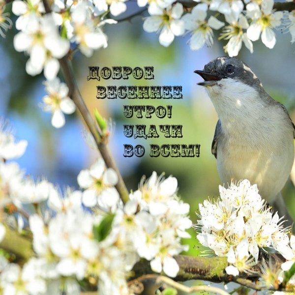 О личного весеннегодня