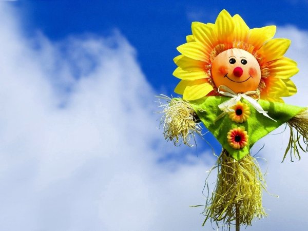 Утро птички