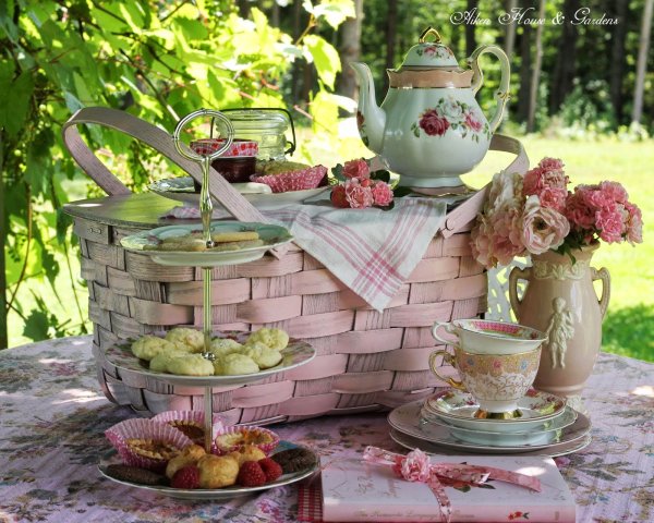 Цветы на подоконнике летом