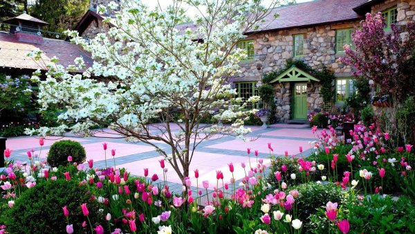 Весенний пейзаж фон