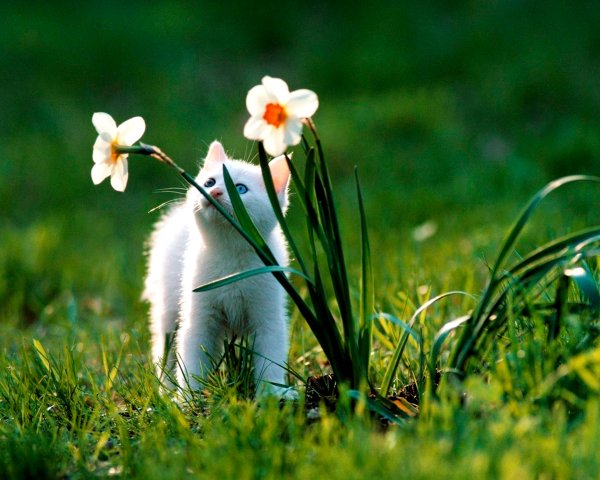 Весенняя природа