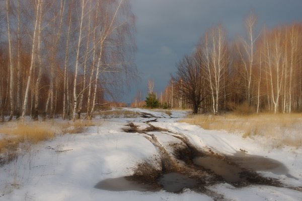 Фотопейзажи Владимира Рябкова