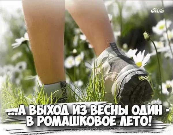 Летящей походкой выходим из мая