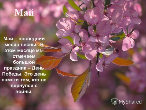 Наступил последний месяц весны