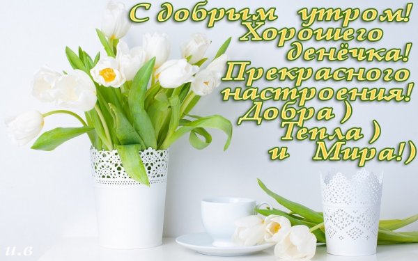 Пожелания весны в душе