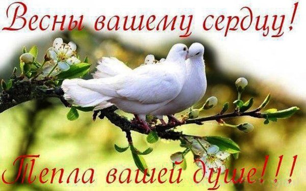 Пусть Весна