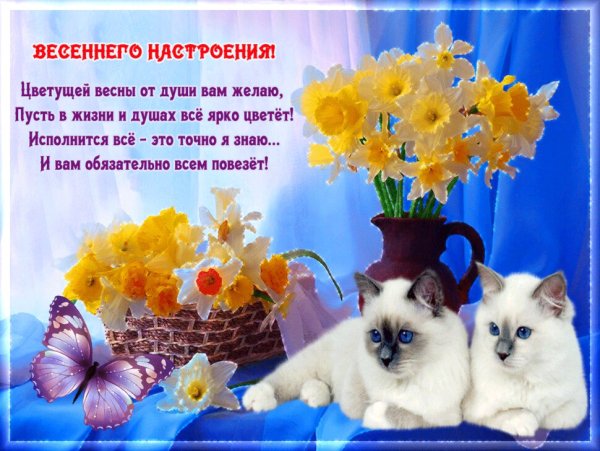 Доброе солнечное Весеннее утро с пожеланиями