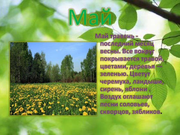 Наступил последний месяц весны