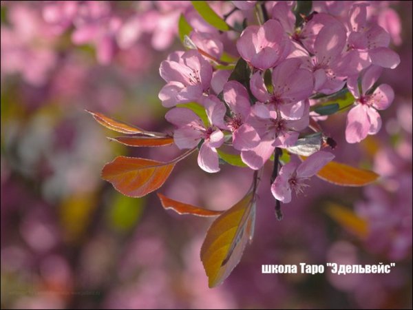 Здравствуй Весна доброе утро