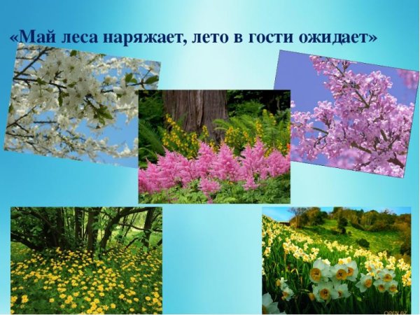 Весна май природа