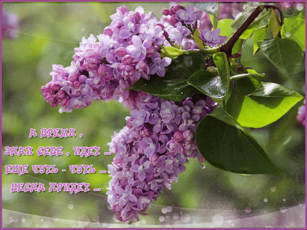 С последним днем ансны