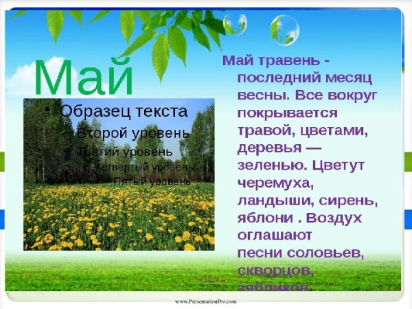 Высказывания о весне