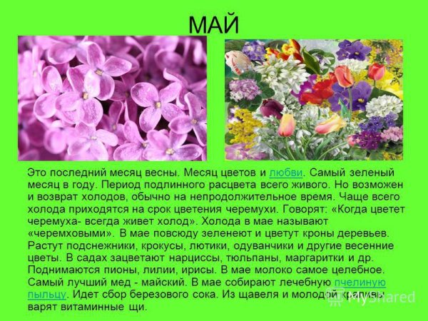 Скоро апрель