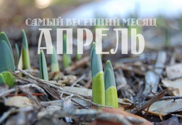 Весенние месяцы