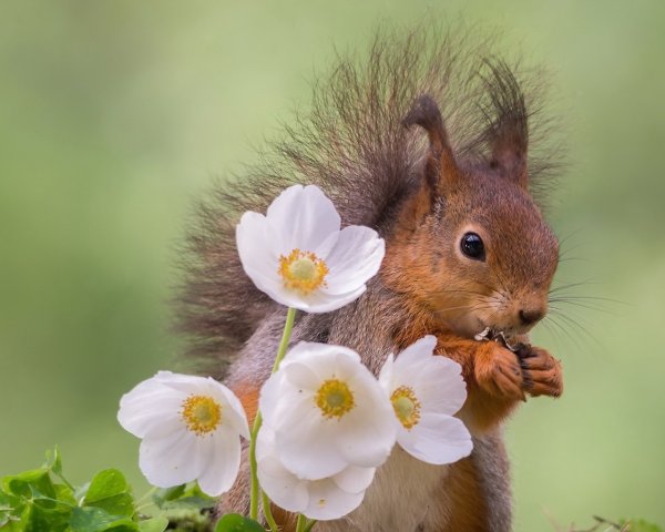 Животные весной