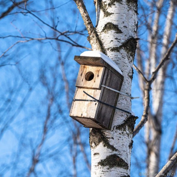 Весенний скворечник большой