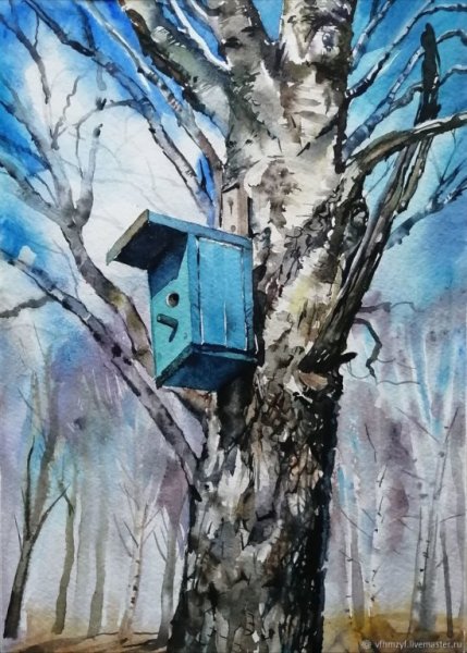 Скворец в скворечнике