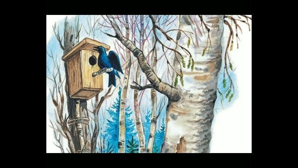 Скворечник сисердечком