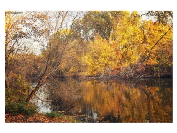 Весна и осень Свиридов