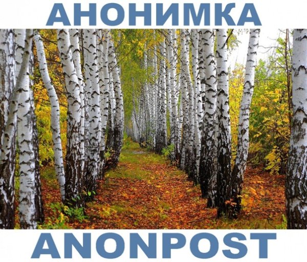 Сергей Артемьев художник