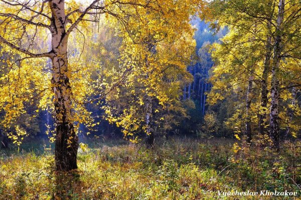 Чайковский осень рисунок