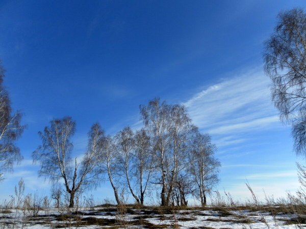 Весна и осень Свиридов
