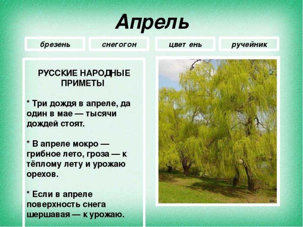 Календарь природы Весна