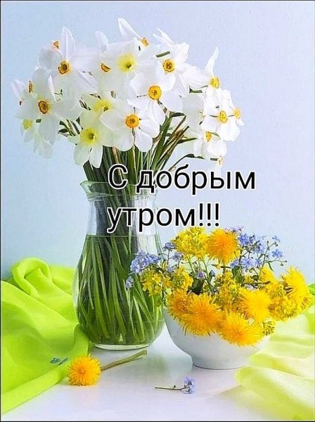 Доброе утро зайчик