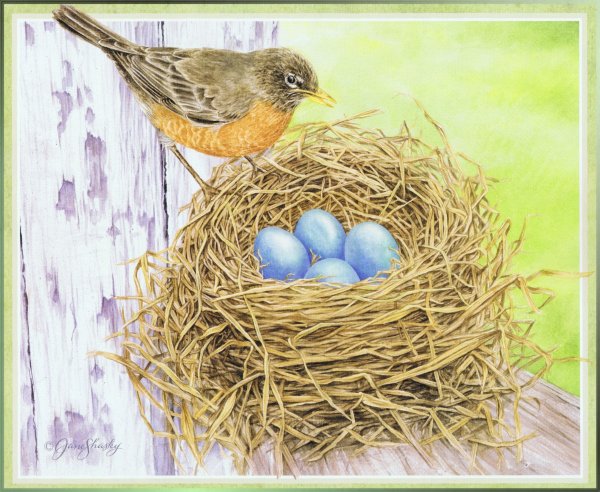 Гнездо птицы для детей