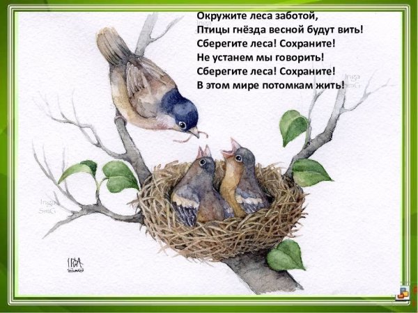 Стих про гнезда птиц