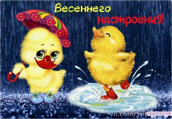 Хорошего дня цыпленок