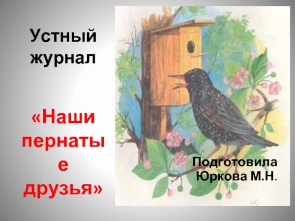 Скворец (Весна)