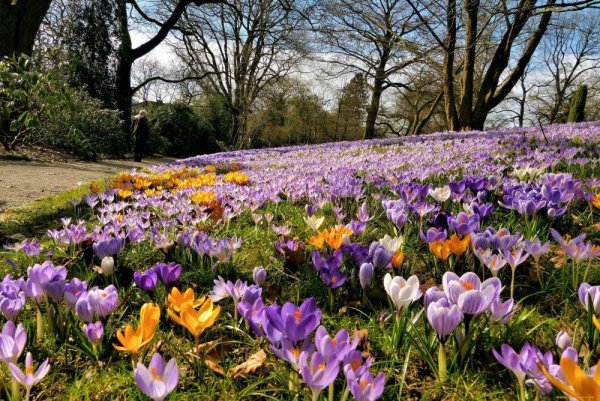 Весна природа