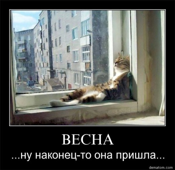 Наконец-то зиме пришел веснец