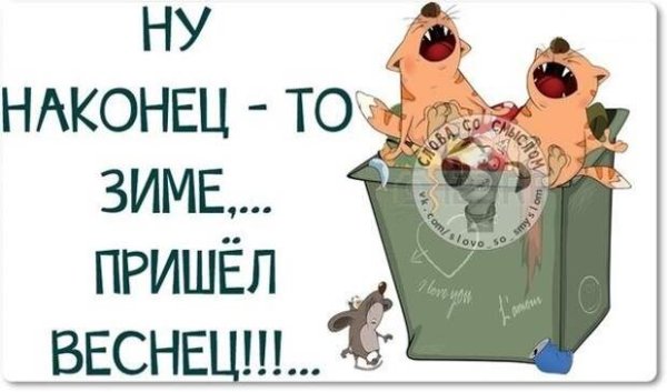 Кот нюхает весну