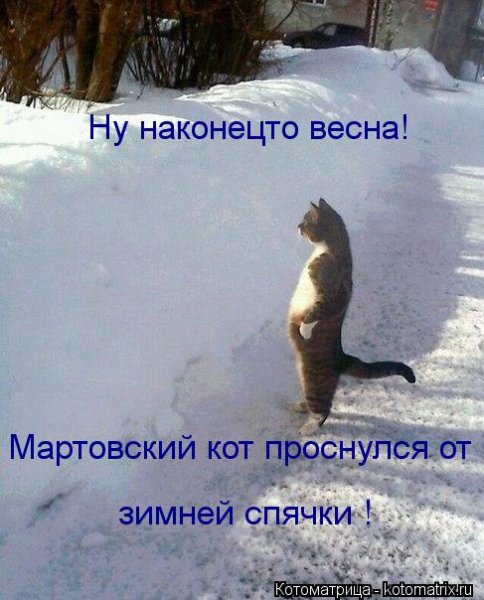 Хочу весну